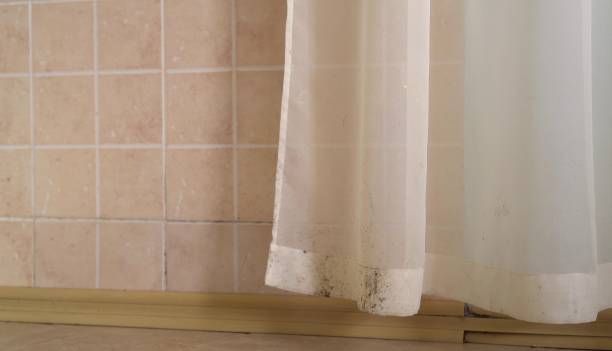 Best Commercial Mold Inspection  in Muncie, IN