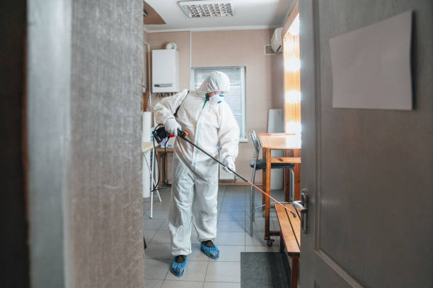 Best Asbestos and Lead Testing During Mold Inspection  in Muncie, IN