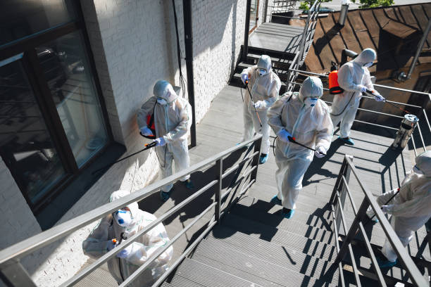 Trusted Muncie, IN Mold Removal Experts