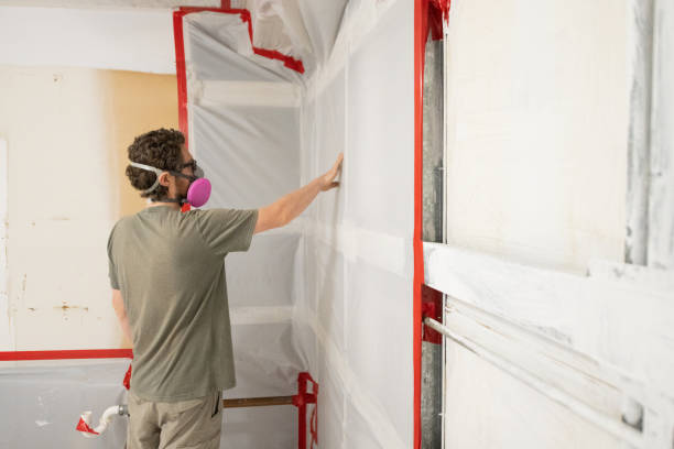 Best Mold Documentation for Insurance Claims  in Muncie, IN