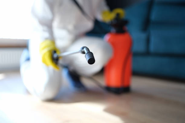 Mold Documentation for Insurance Claims in Muncie, IN