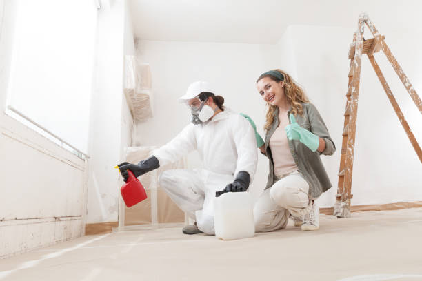 Best Emergency Mold Remediation  in Muncie, IN